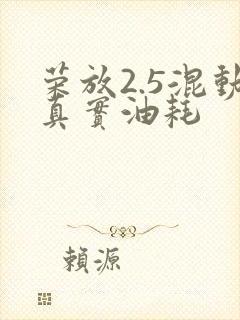 荣放2.5混动真实油耗