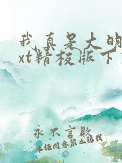我真是大明星txt精校版下载