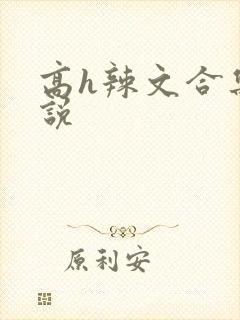 高h辣文合集小说