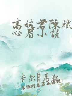 高婉君陈斌和赵心眉小说