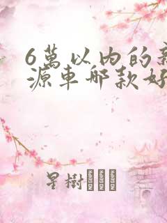 6万以内的新能源车哪款好