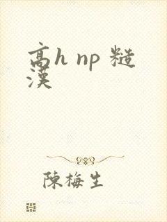 高h np 糙汉