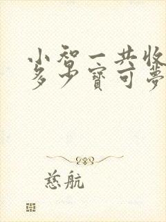 小智一共收服了多少宝可梦