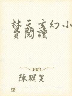 林天玄幻小说免费阅读