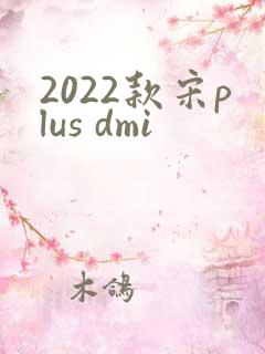 2022款宋plus dmi 2022款宋plus dmi