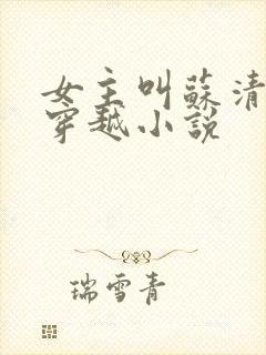 女主叫苏清寒的穿越小说