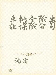 车辆全险出了事故保险公司怎么赔