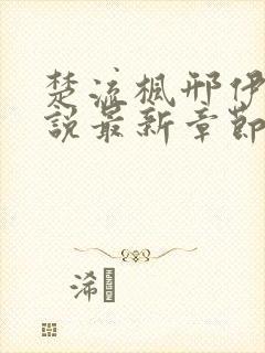 楚流枫邢伊珊小说最新章节更新内容