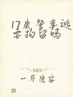 17岁肇事逃逸要拘留吗
