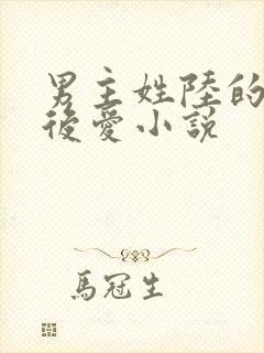 男主姓陆的先婚后爱小说