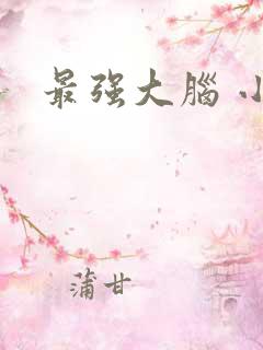 最强大脑 小说