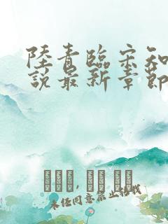 陆青临宋知薇小说最新章节更新