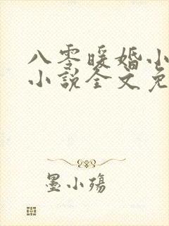 八零暖婚小医妻小说全文免费阅读