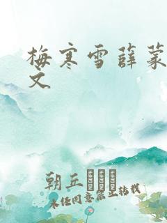 梅寒雪薛蒙同人文