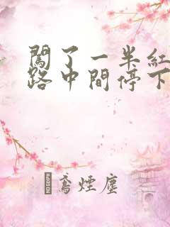 闯了一半红灯在路中间停下来了