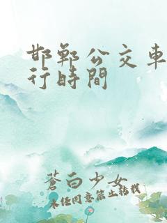 邯郸公交车道限行时间