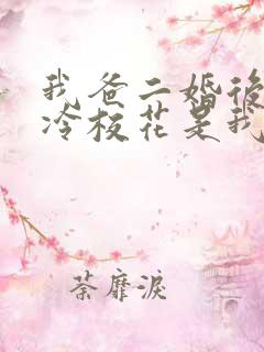 我爸二婚后,高冷校花是我妹