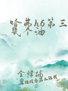 哈弗h6第三代几个油