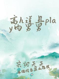 高h道具play肉男男