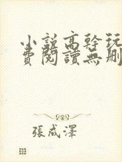 小说高干玩物免费阅读无删减版