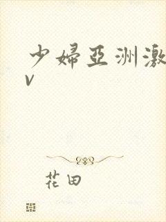 少妇亚洲激情av