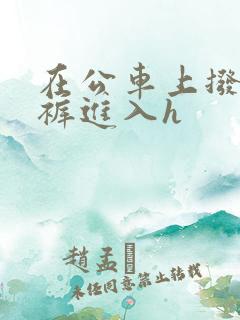 在公车上拨开内裤进入h