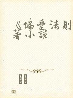 《偏爱法则》原著小说