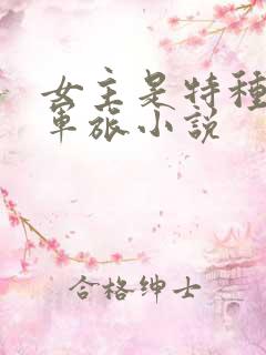 女主是特种兵的军旅小说
