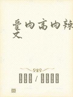 爱肉高肉辣文欲文