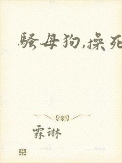 骚母狗,操死你