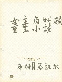 女主角叫顾清欢重生小说