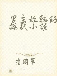 男主姓韩的霸道总裁小说