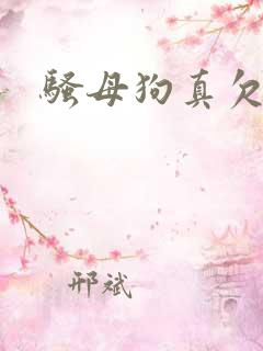 骚母狗真欠操