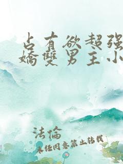占有欲超强的病娇双男主小说攻受