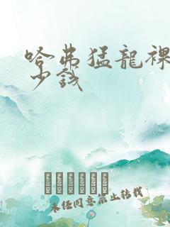 哈弗猛龙裸车多少钱