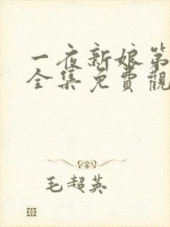 一夜新娘第一季全集免费观看高清