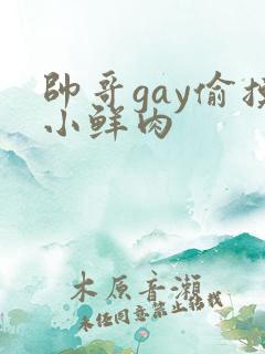 帅哥gay偷摸小鲜肉 帅哥gay偷摸小鲜肉