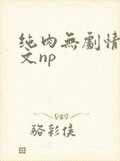 纯肉无剧情肉的文np