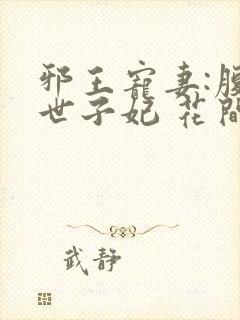邪王宠妻:腹黑世子妃 花间雪
