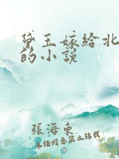黛玉嫁给北静王的小说 黛玉嫁给北静王的小说
