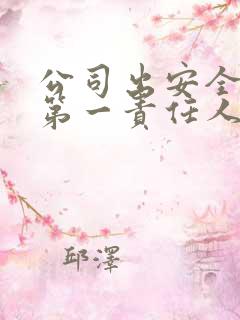 公司出安全事故第一责任人是谁