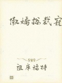 傲娇总裁宠上瘾 傲娇总裁宠上瘾