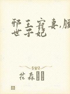 邪王宠妻,腹黑世子妃