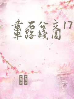 黄石公交17路车路线图