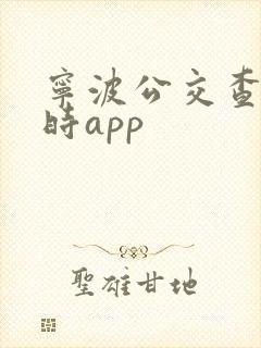 宁波公交查询实时app