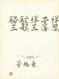 骆驼祥子祥子的三起三落思维导图