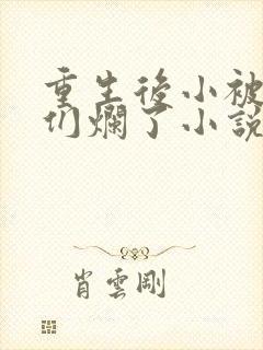 重生后小被男神们烂了小说笔趣阁
