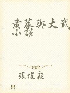 黄蓉与大武小武小说