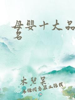 母婴十大品牌排名