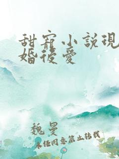 甜宠小说现言先婚后爱